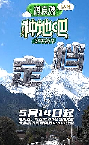 小黄人电影：星光露营夜动画电影精选海报